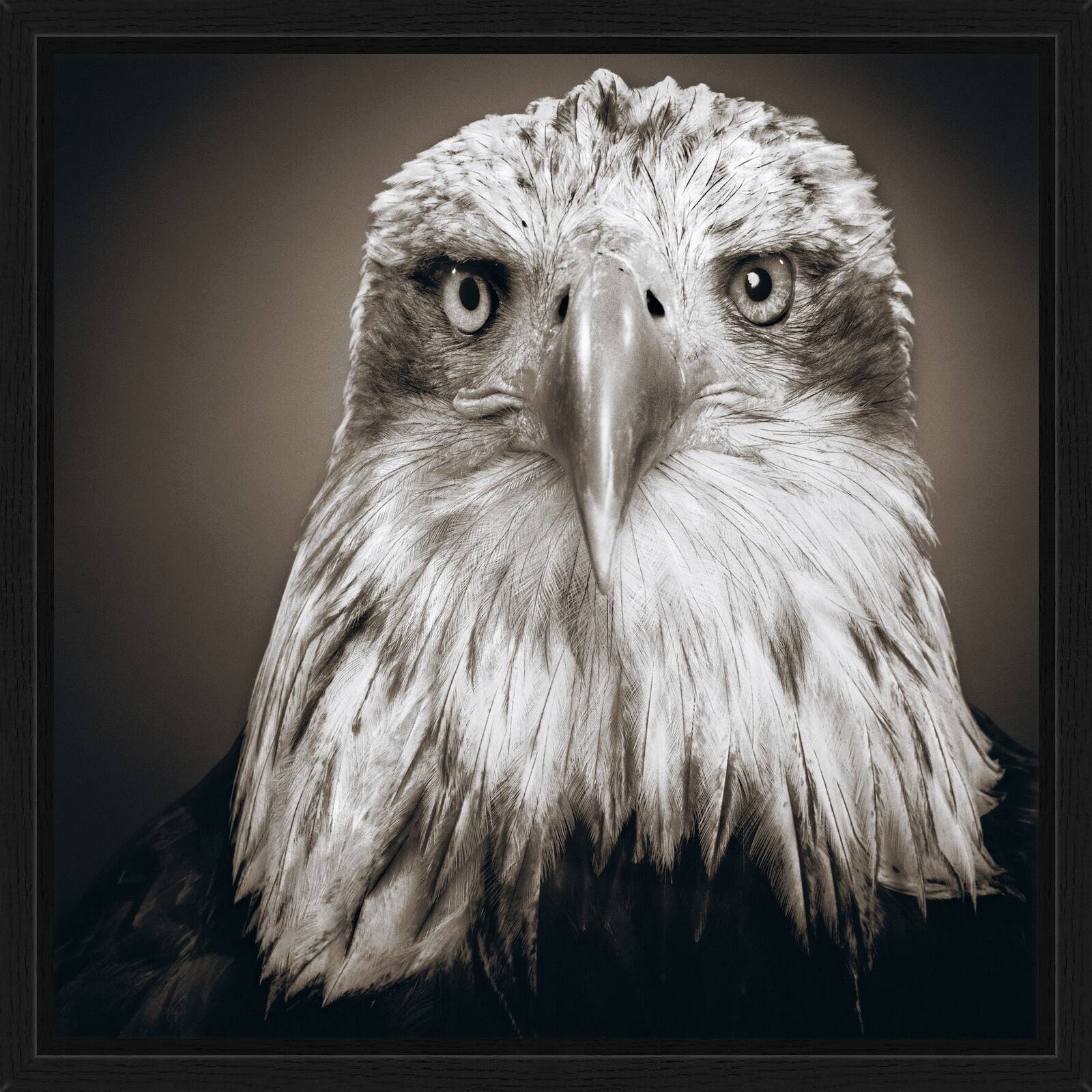 Bonnie by Alexander Von Reiswitz - Limited Edition. Edition of: 100. Signed.