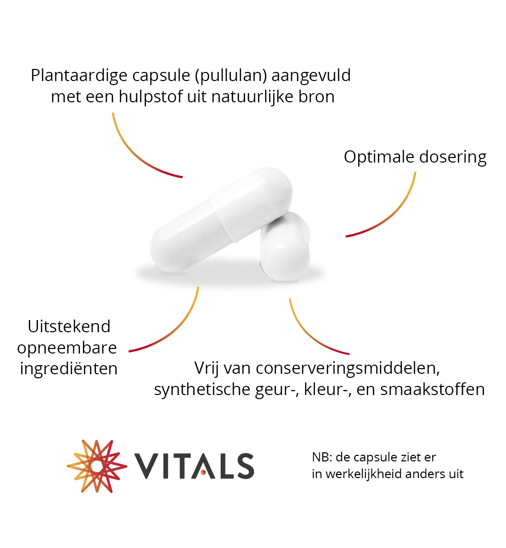 Vitals Elke dag (60 capsules)