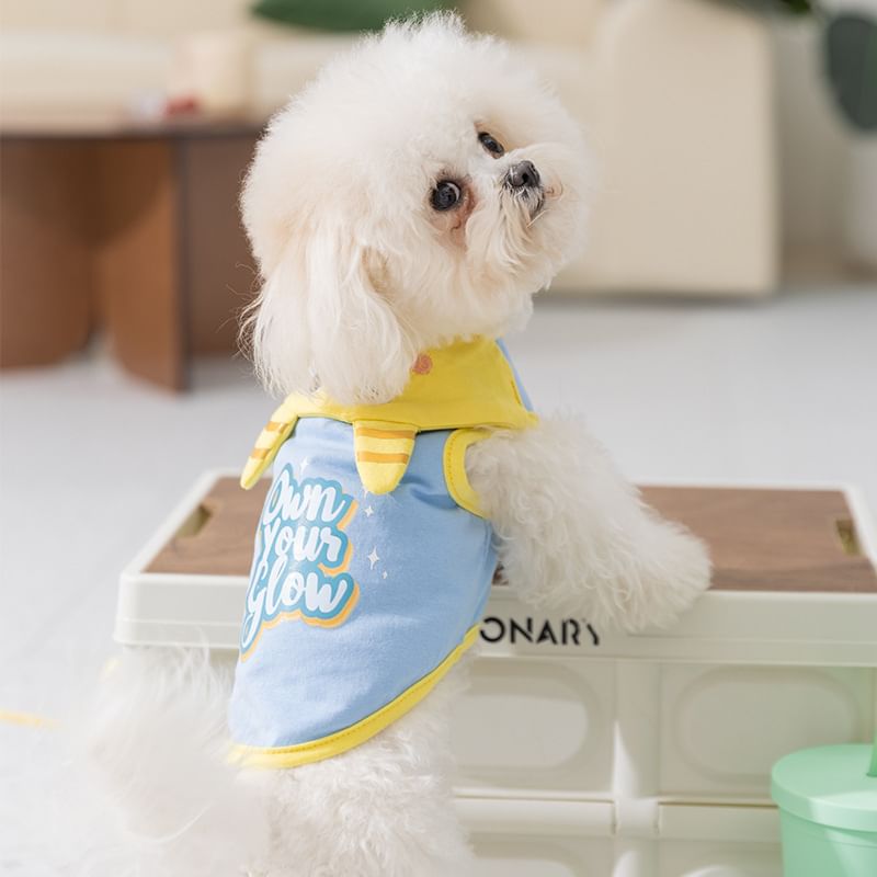 Cissilli - Pet Top met kraag en letters