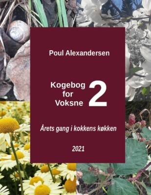 Kogebog For Voksne 2 - Poul Alexandersen - Bog