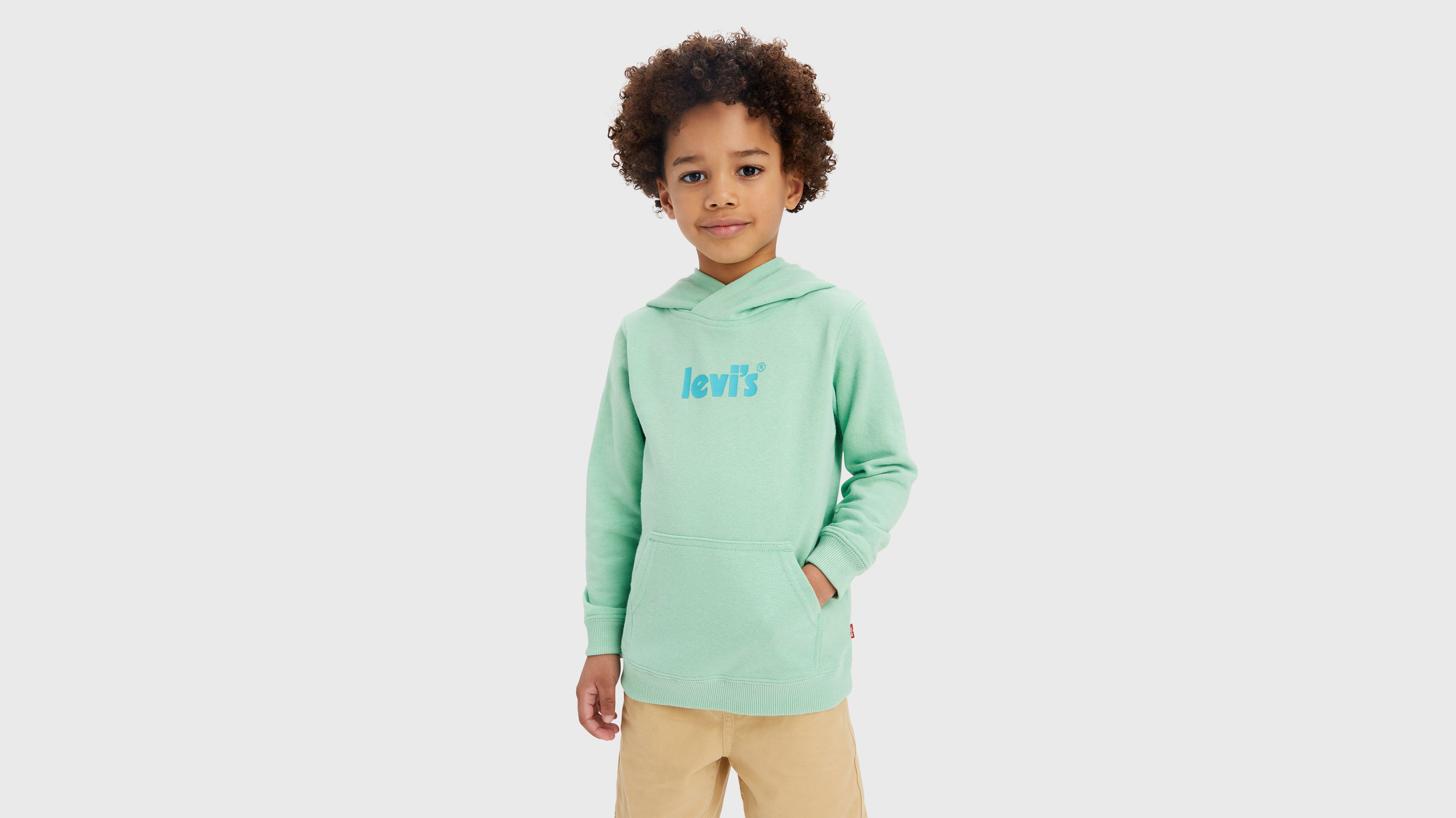 Sweat à capuche logo poster - Meadow - Vert