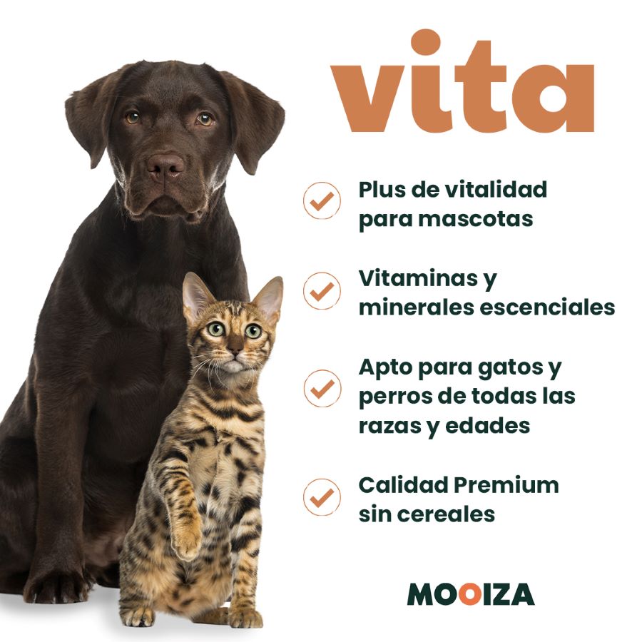 MOOIZA vita