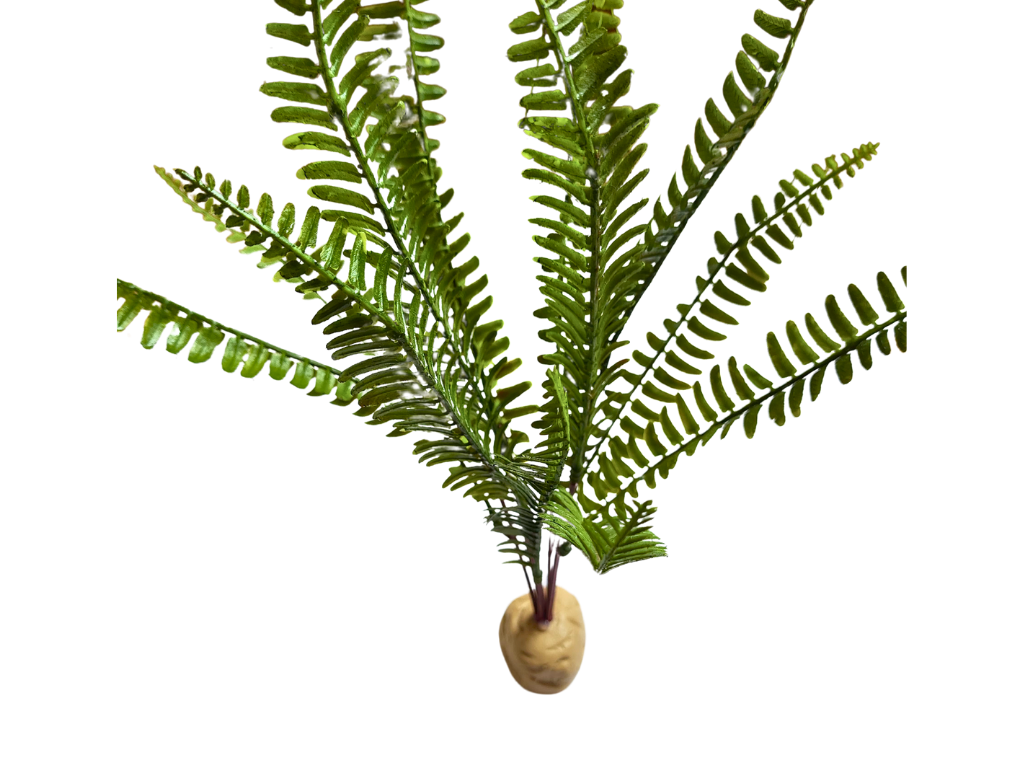 Samambaia de 35 cm para decoração de terrário