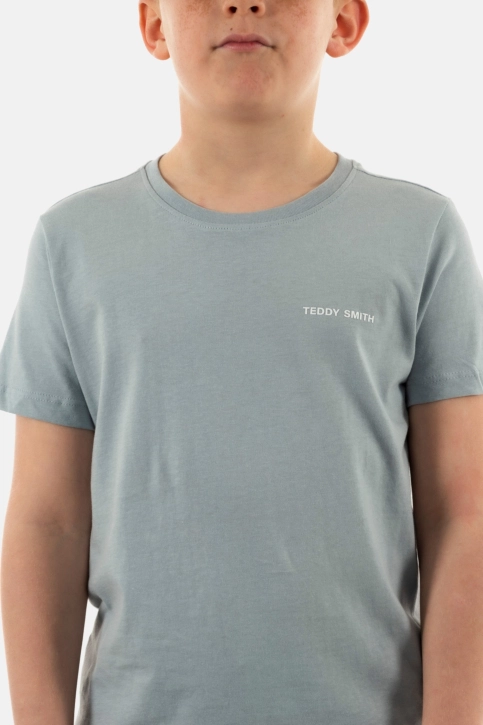 Tee shirts manches courtes teddy smith nark 311a bleached blue