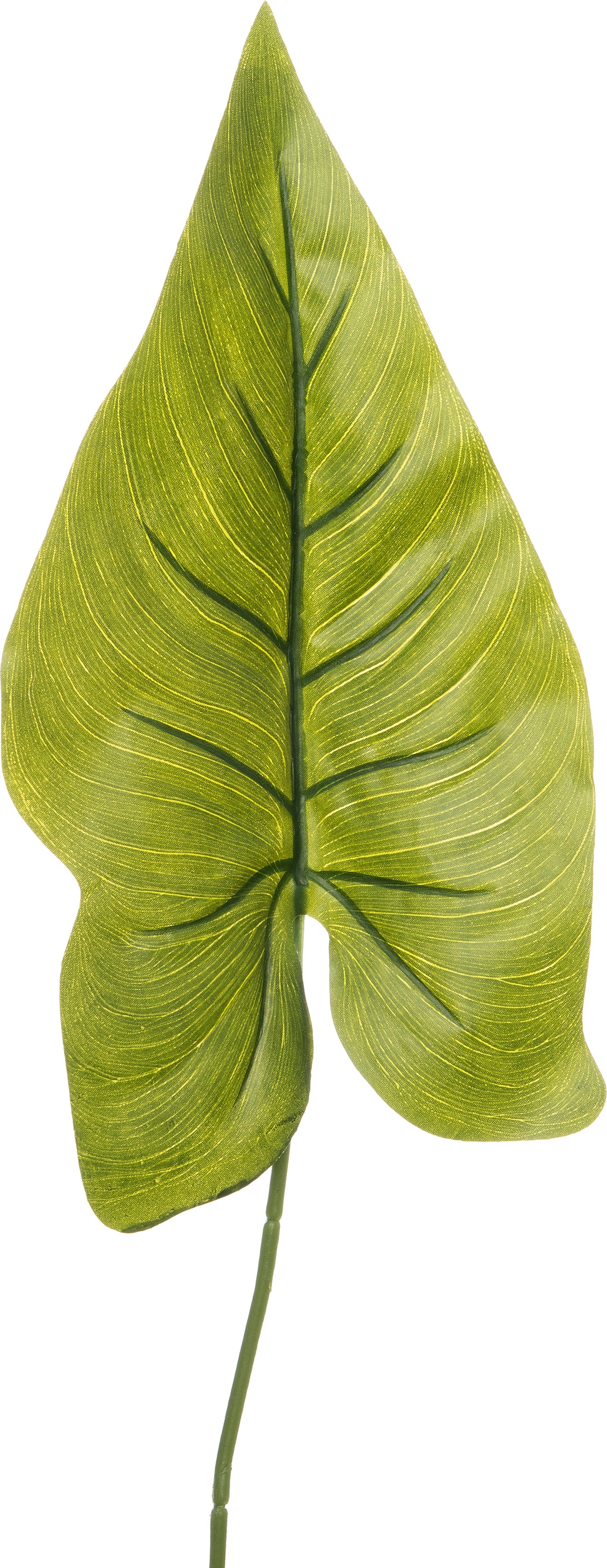 Intratuin kunstblad lelie B 17 H 85 cm
