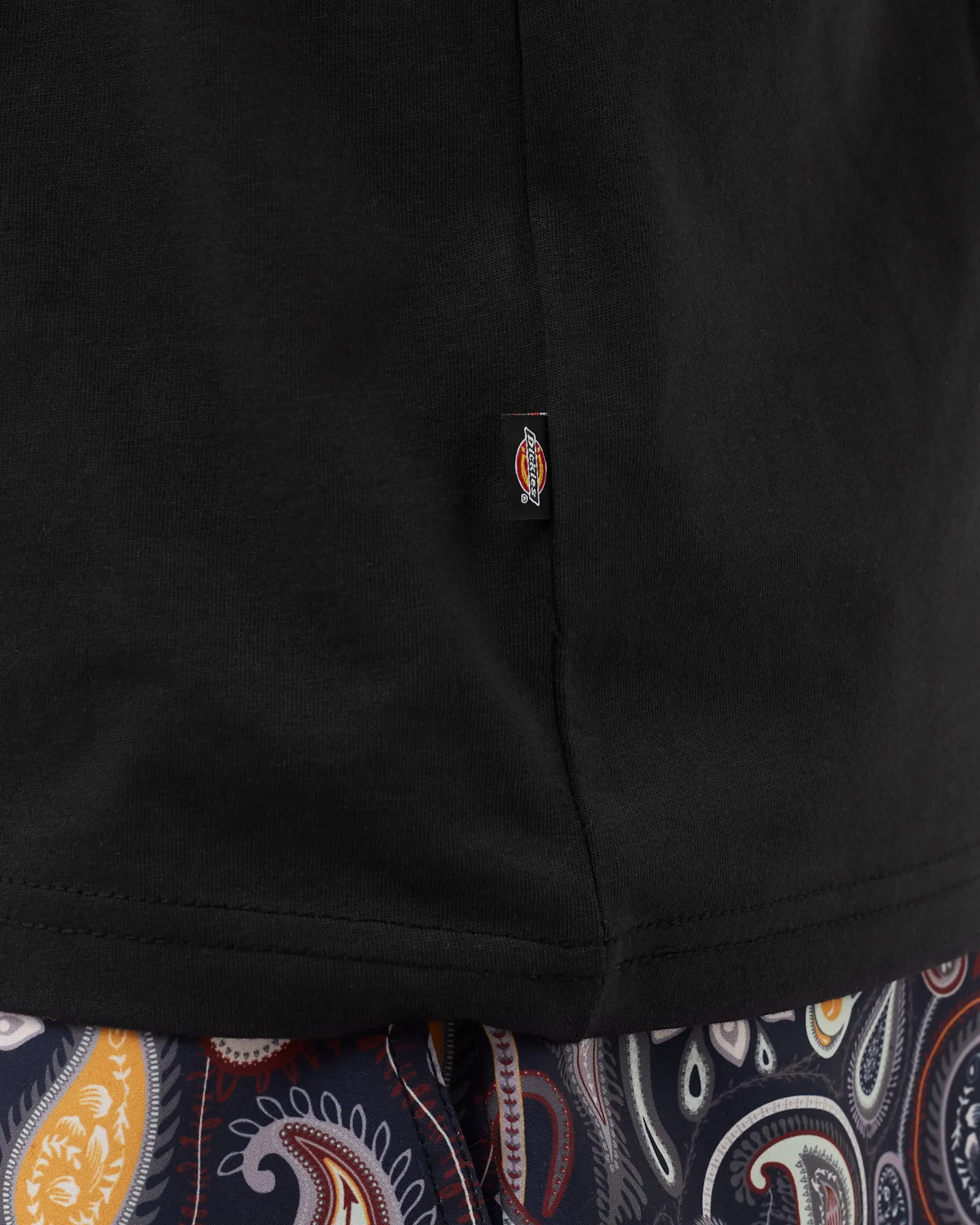 CAMISETA DICKIES MAPLETON DE MANGA CURTA
