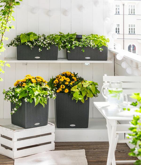 LECHUZA® Kunststoff-Topf Cube Cottage,