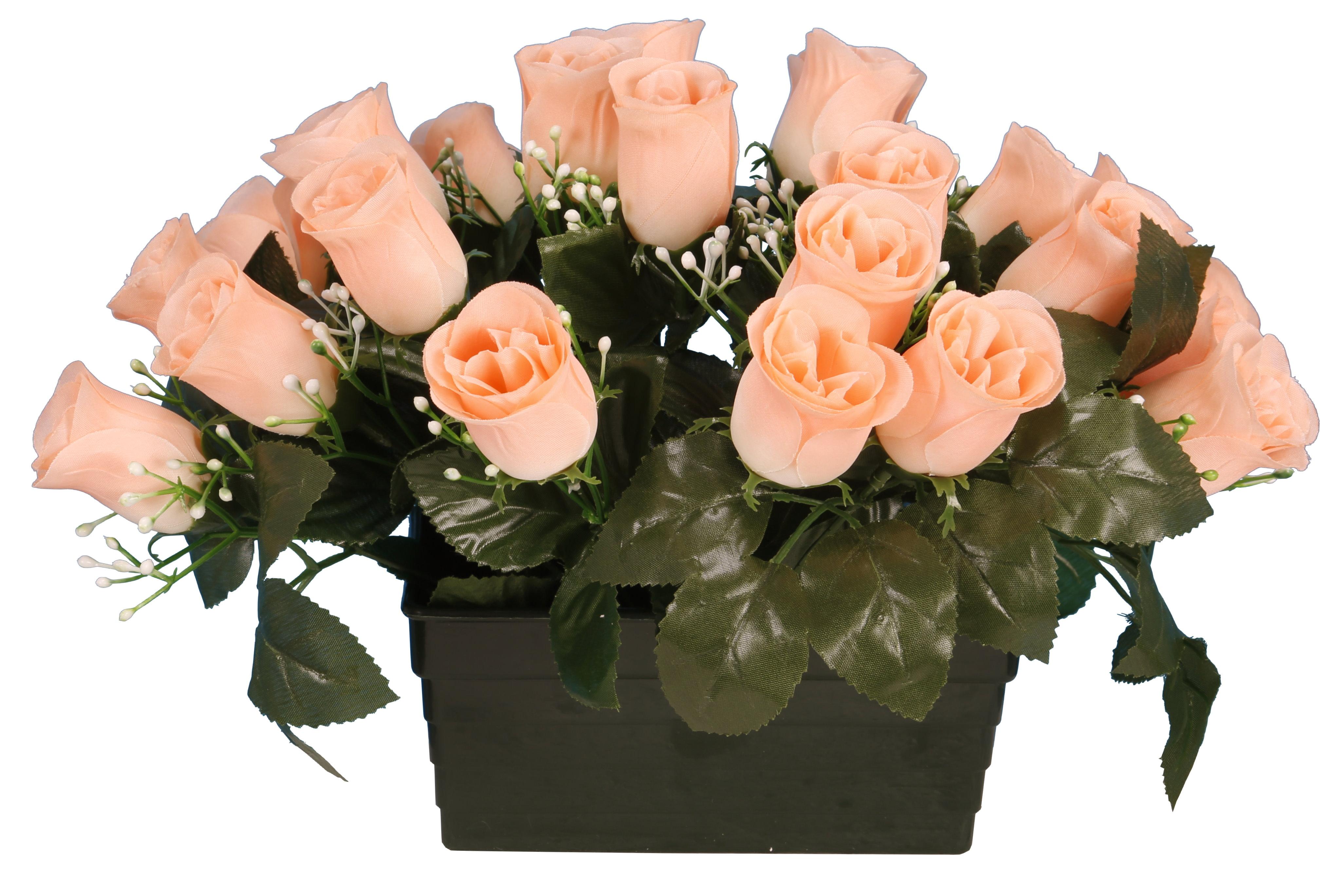JARDINIERE BOUTON ROSE