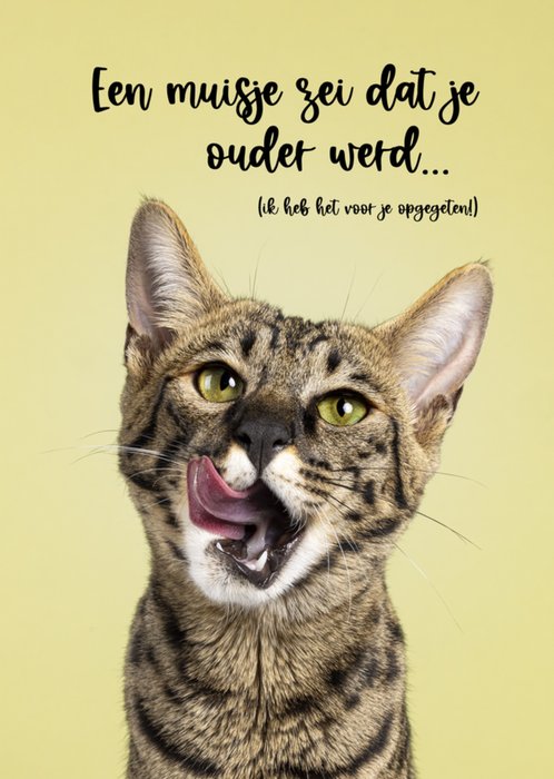 Catchy Images | Verjaardagskaart | Grappige kat