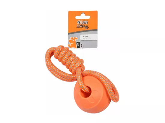 Jouet pour Chien 