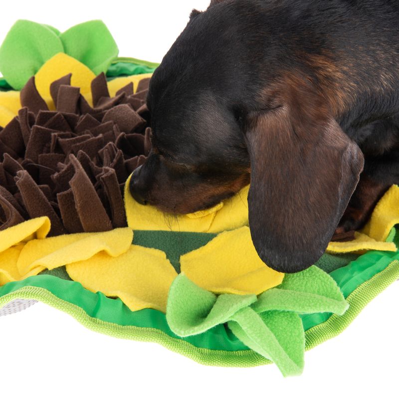 Tapis de fouille Sunnyflower