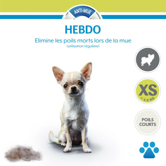 Brosse FURminator pour chien à poils courts