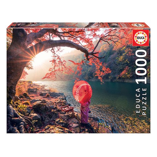Puzzle educa borras rouge