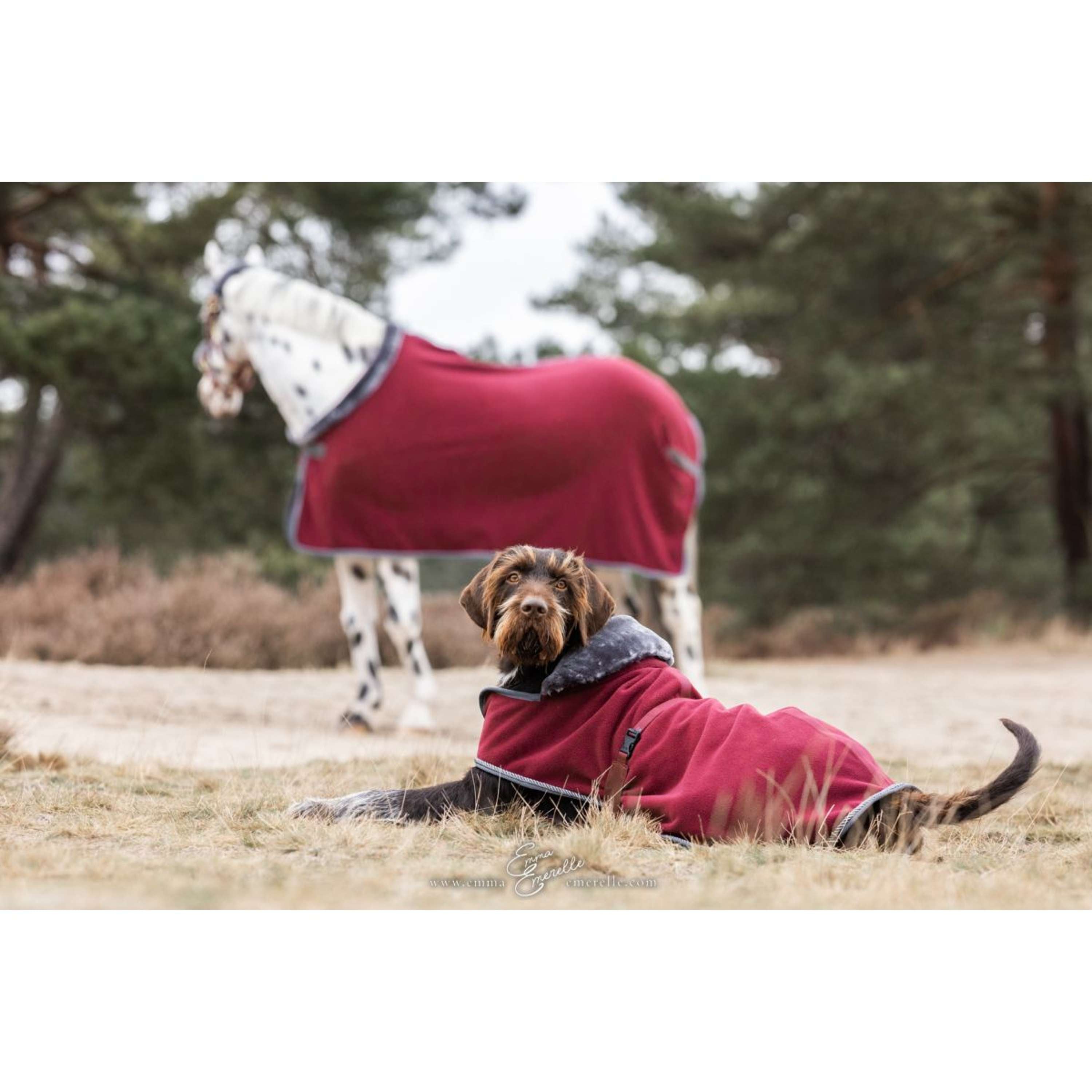 Bucas Hondendeken Show-Line Burgundy/Grijs