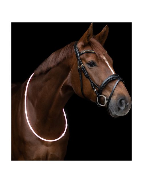 Waldhausen Led Halsband - Ruiteraccessoires