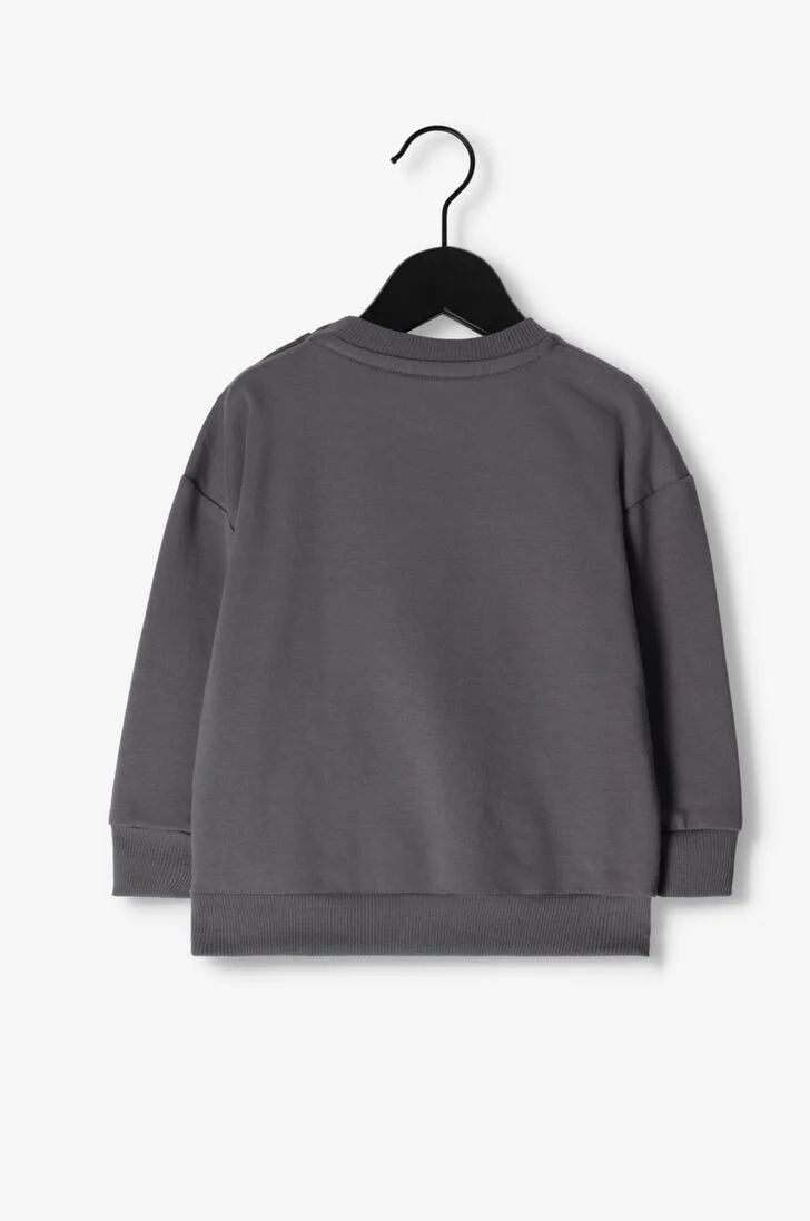 Z8 grijze z8 sweater taio