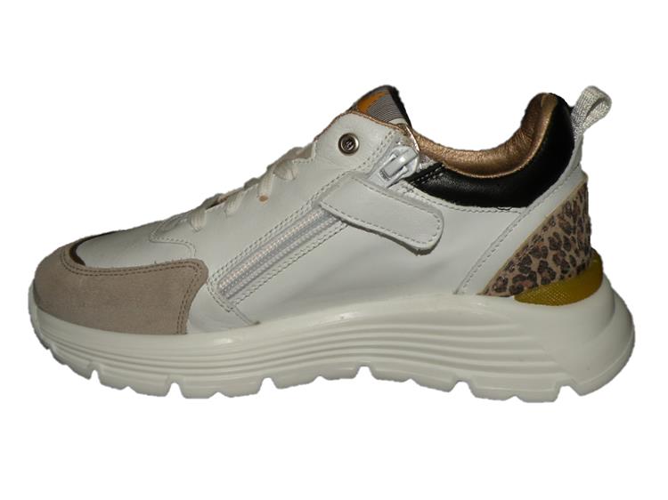 Giga G4110 vel.chat.gray/el d.gold.harv.