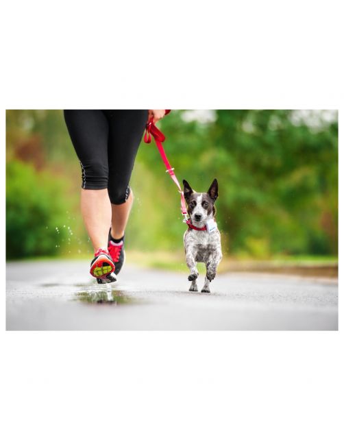 Tractive Gps Tracker Voor Honden En Katten - Hondenlocatievinder - 51x41x15 mm Wit