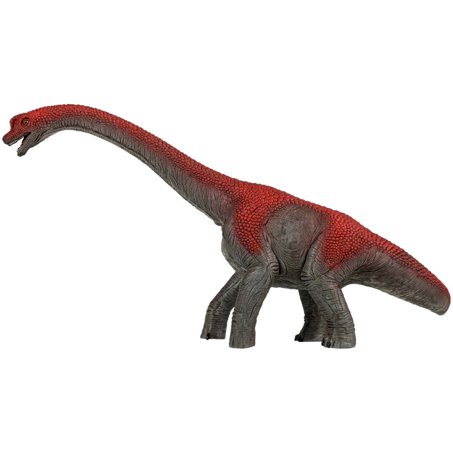 Brachiosaurus
