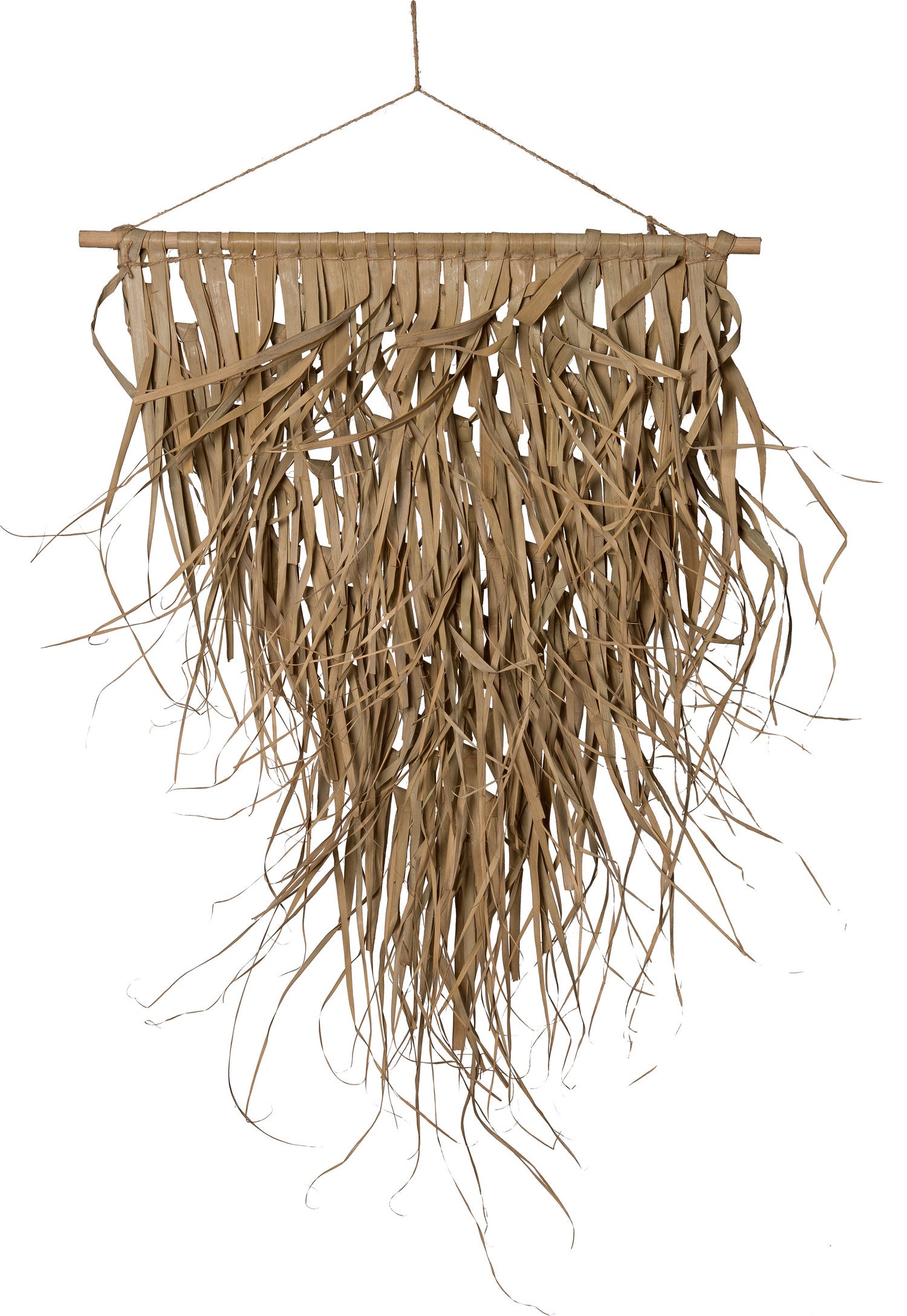 Intratuin tuinwanddecoratie palmblad naturel 65 x 75 cm
