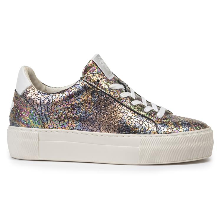 Floris van Bommel SFW-10059 multi
