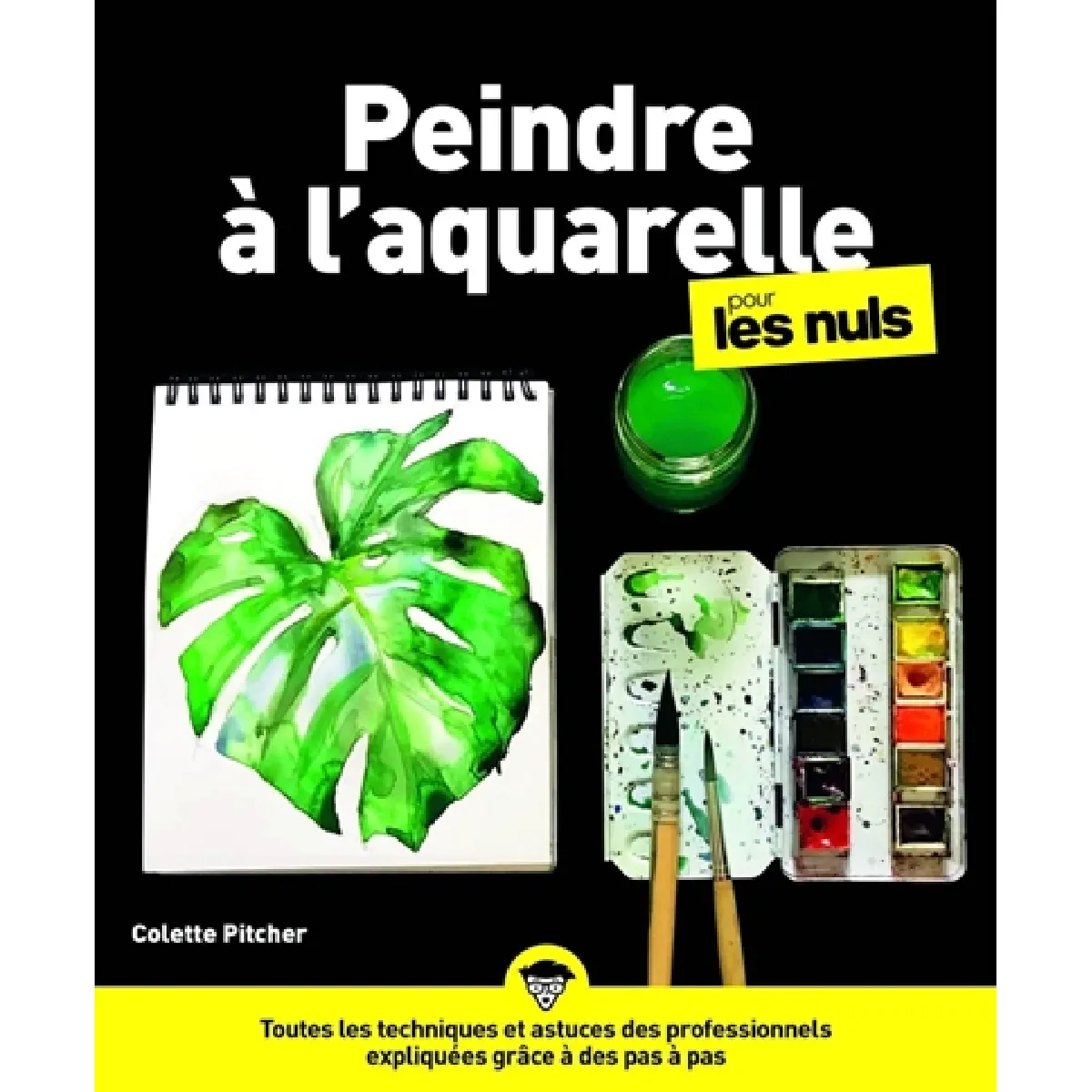 Peindre à l'aquarelle pour les nuls · Occasion
