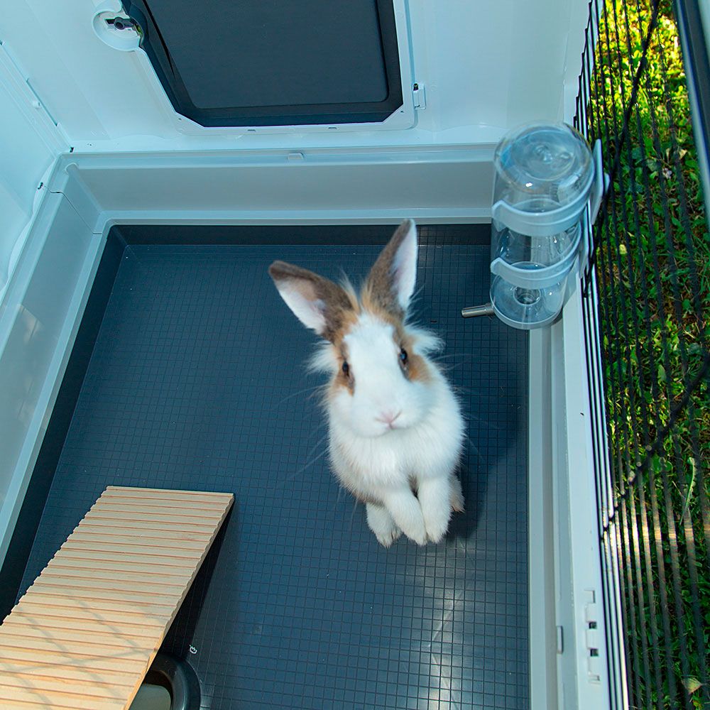 Ferplast cage lapin grand lodge 140 plus, clapier extérieur 2 étages, lapins, cochons d'inde, enclos pour lapins animaux