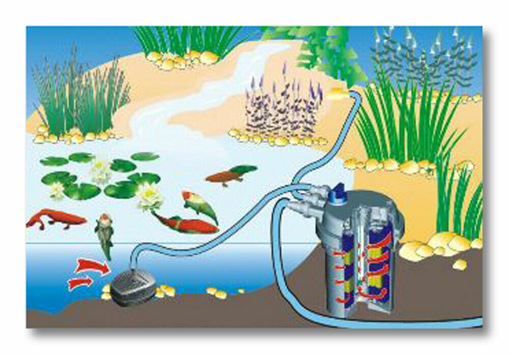 Filtre de bassin à pression uv 11 watts 6000 litres nettoyage facile