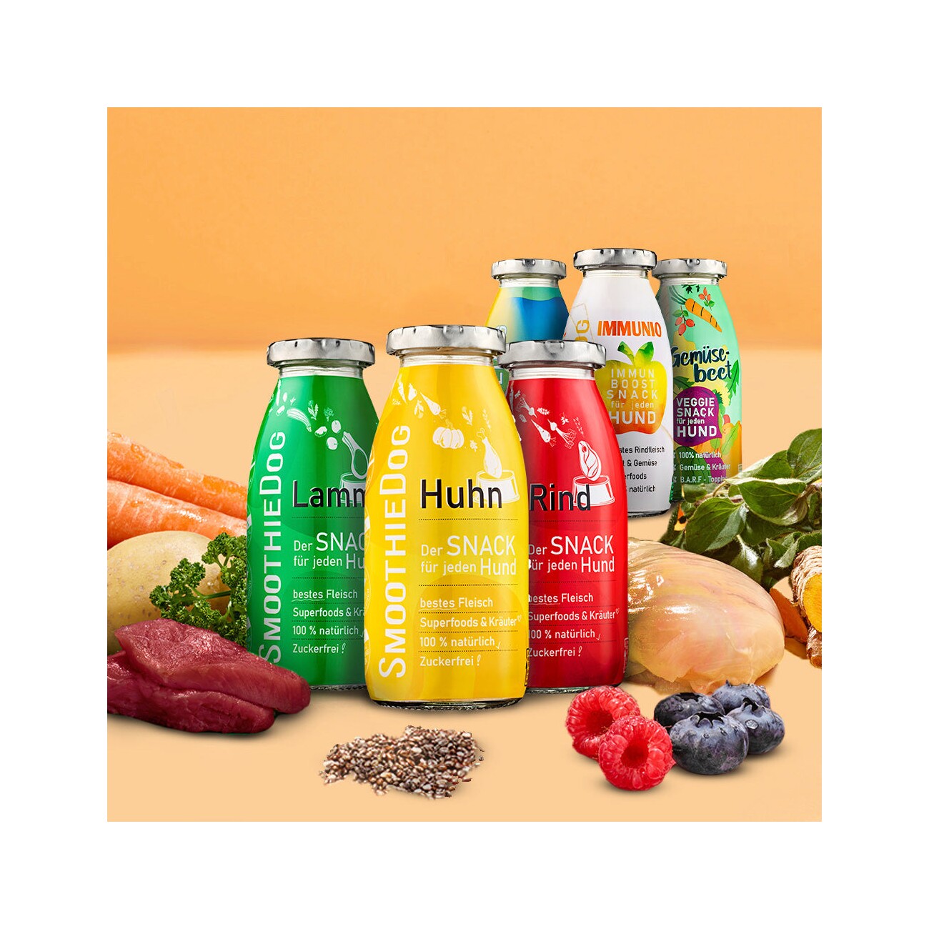 SmoothieDog Mix Paket 6x 250ml + Winter Wild 3x 250 ml
