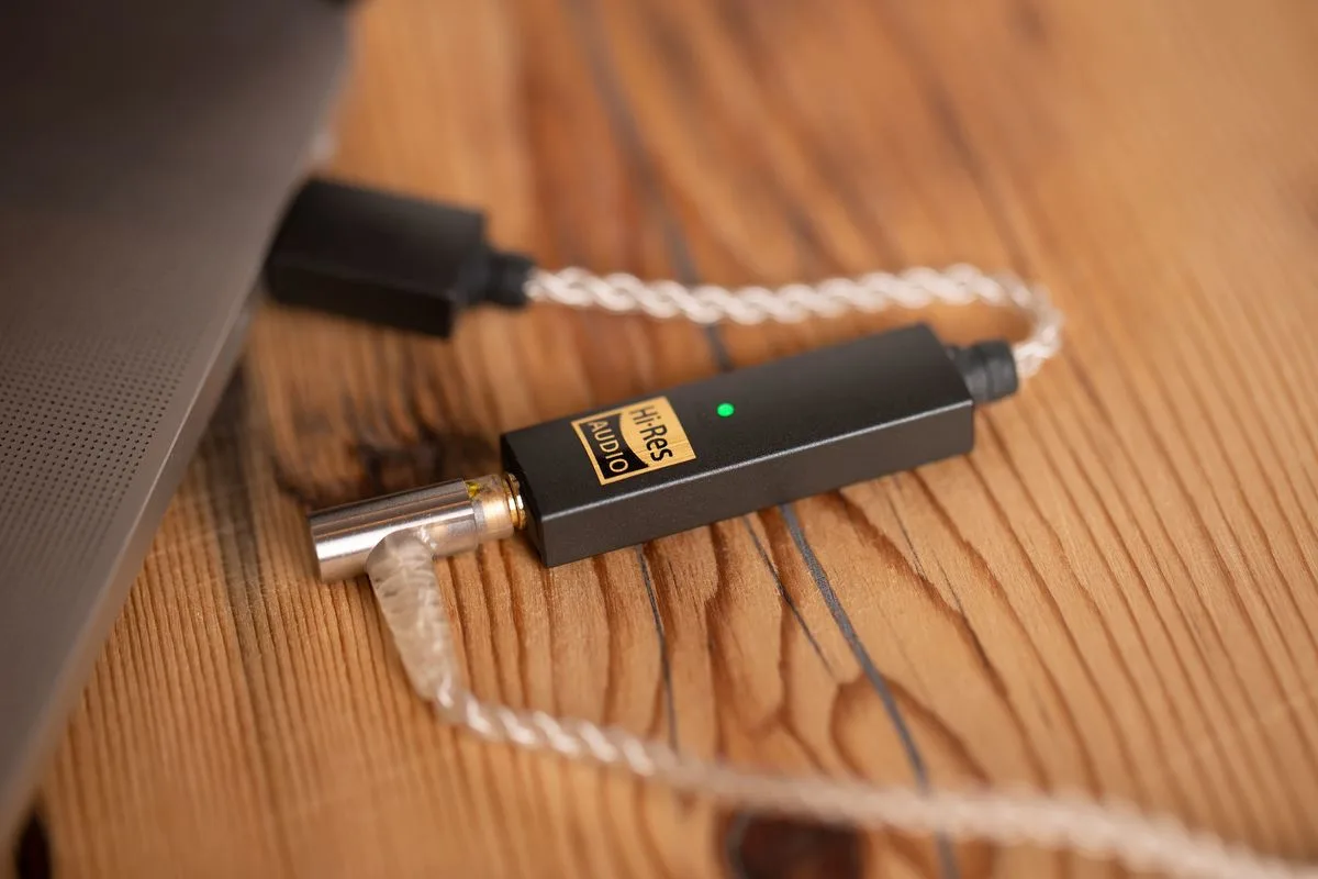 iFi Audio Go Link DAC Audio portables