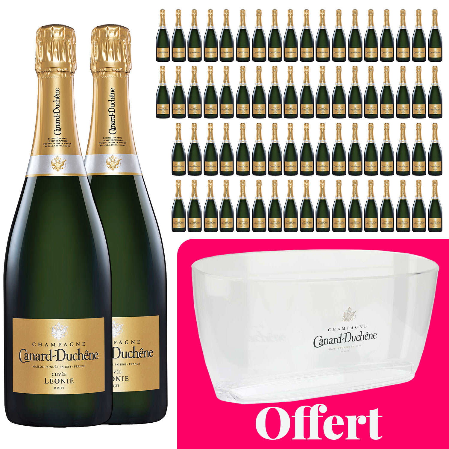 72 bouteilles Champagne Canard Duchêne Cuvée Léonie Brut et 1 vasque offerte