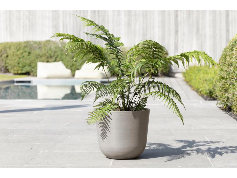 Ecopots Pflanzentopf Oslo 35, French Taupe Robuster und langlebiger Blumentopf