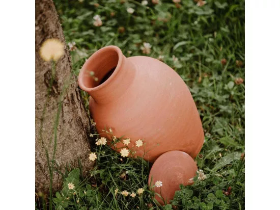 Ollas à enterrer en argile Jardinier