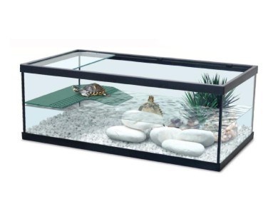 Aquatlantis Schildpadbak Tortum 55 Zwart | tortarium