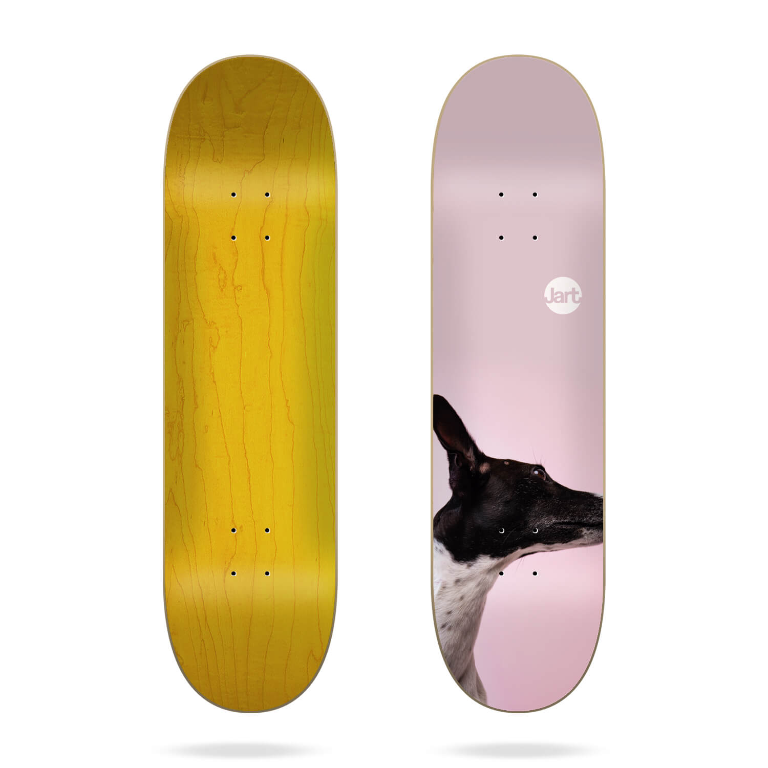 Jart Friends LC Jart Deck 8.125