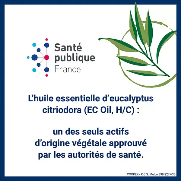 Insect Ecran Anti-Moustiques Brume Végétale 100ml