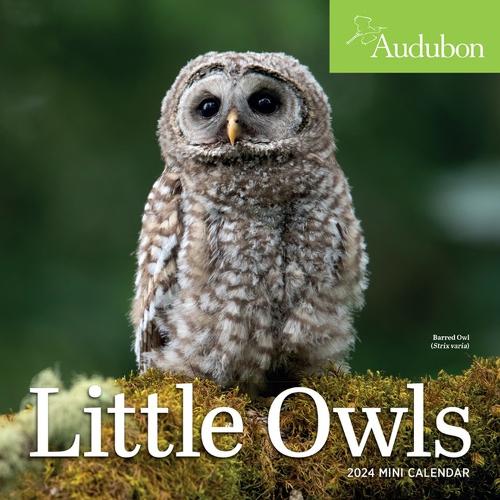 Audubon Little Owls Mini Wall Calendar 2024: A Year of Fluffy and Round Owls (Calendar)
