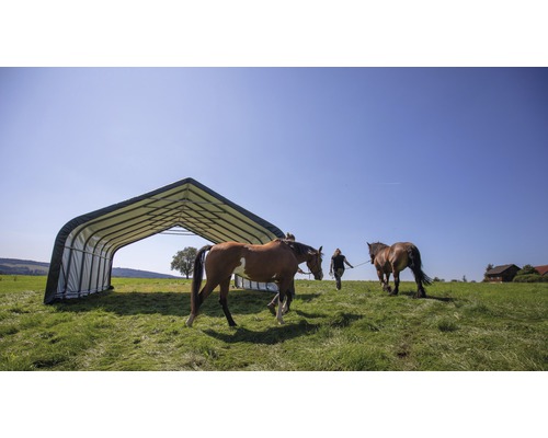 ShelterLogic weidetent 49,6 m² 680 x 730 cm groen