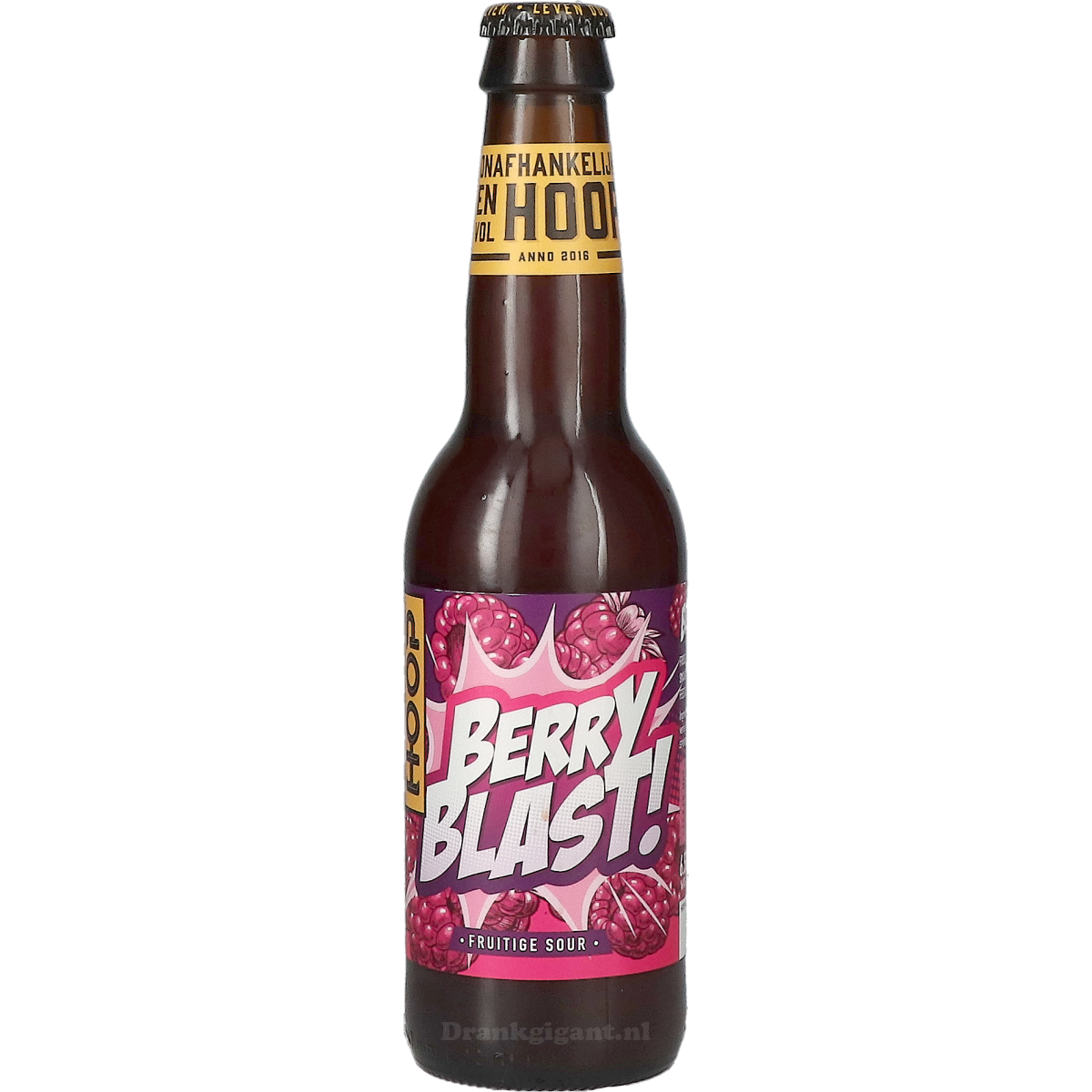 Hoop Berry Blast Fruitige Sour 33 cl