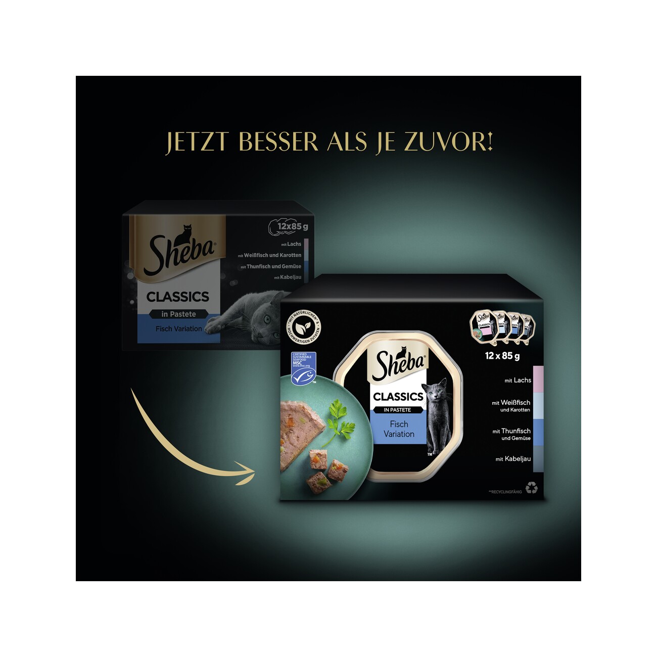 Sheba Classics in Pastete 12x85g