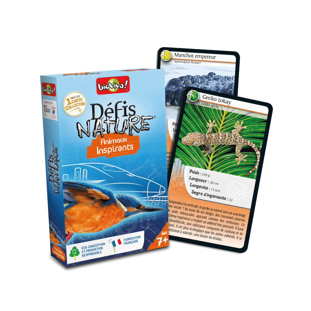 Défis Nature : Animaux Inspirants