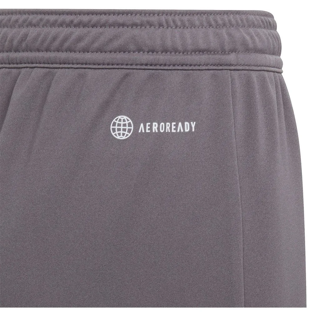 calções adidas Entrada 22