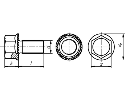 Borgschroef zonder schacht M5x12 mm, verzinkt en getemperd, 50 stuks