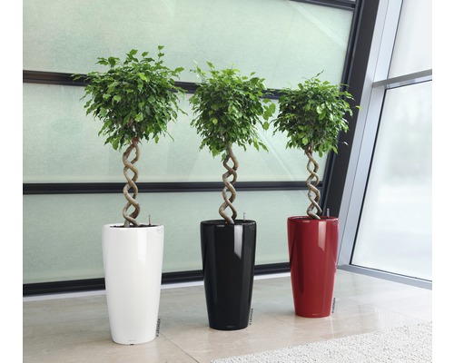 Lechuza Rondo plantenbak Ø 32 cm H 56 cm wit incl. zelfbewateringssysteem, plantenbak, substraat en waterniveau-indicator