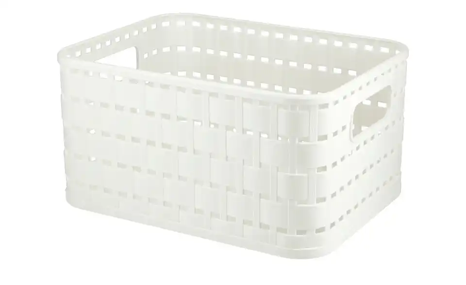 Rotho Aufbewahrungsbox 13,7 cm