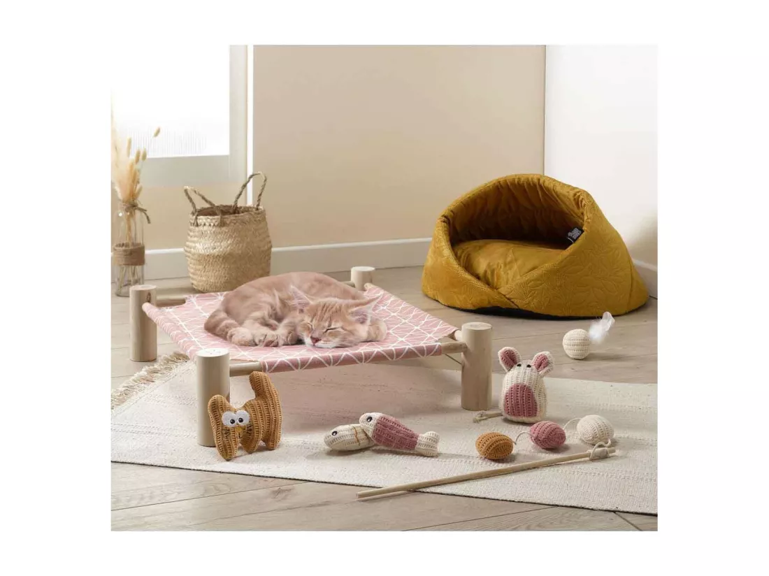 Lot de 2 Jouets Poisson pour Chat 