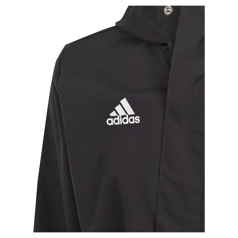 Jaqueta adidas Ent22 AW