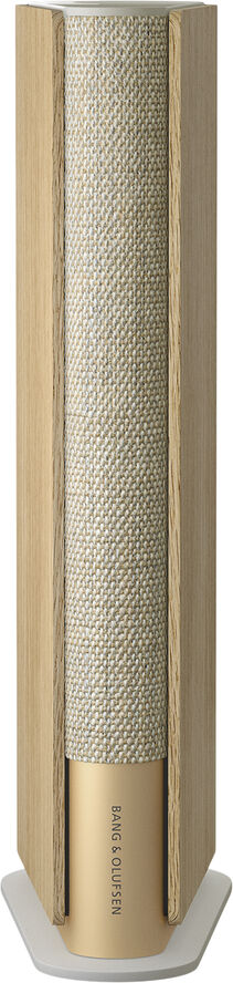 Bang & Olufsen Beosound Emerge Gold Tone