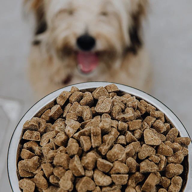 Brave Bites Koekjes Kanker Hond 150 gram | 15130