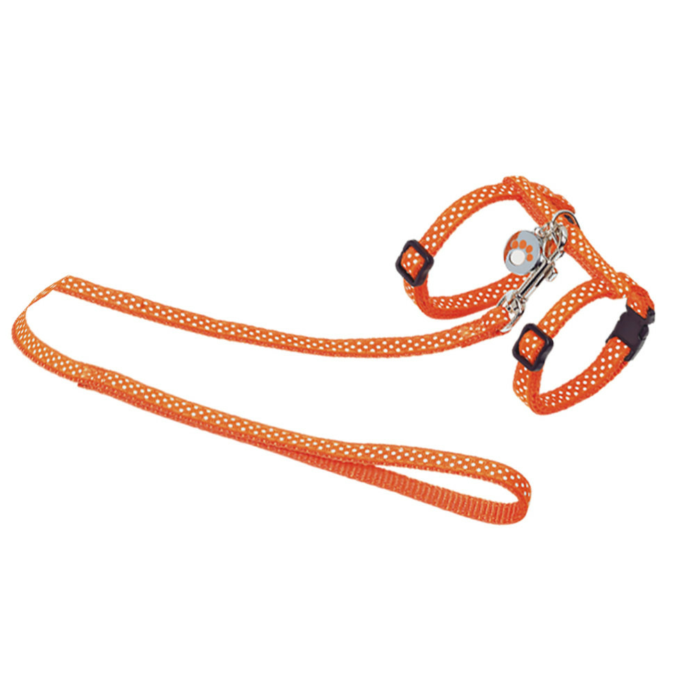Harnais + laisse 120 cm, à pois orange, réglable, pour chat.